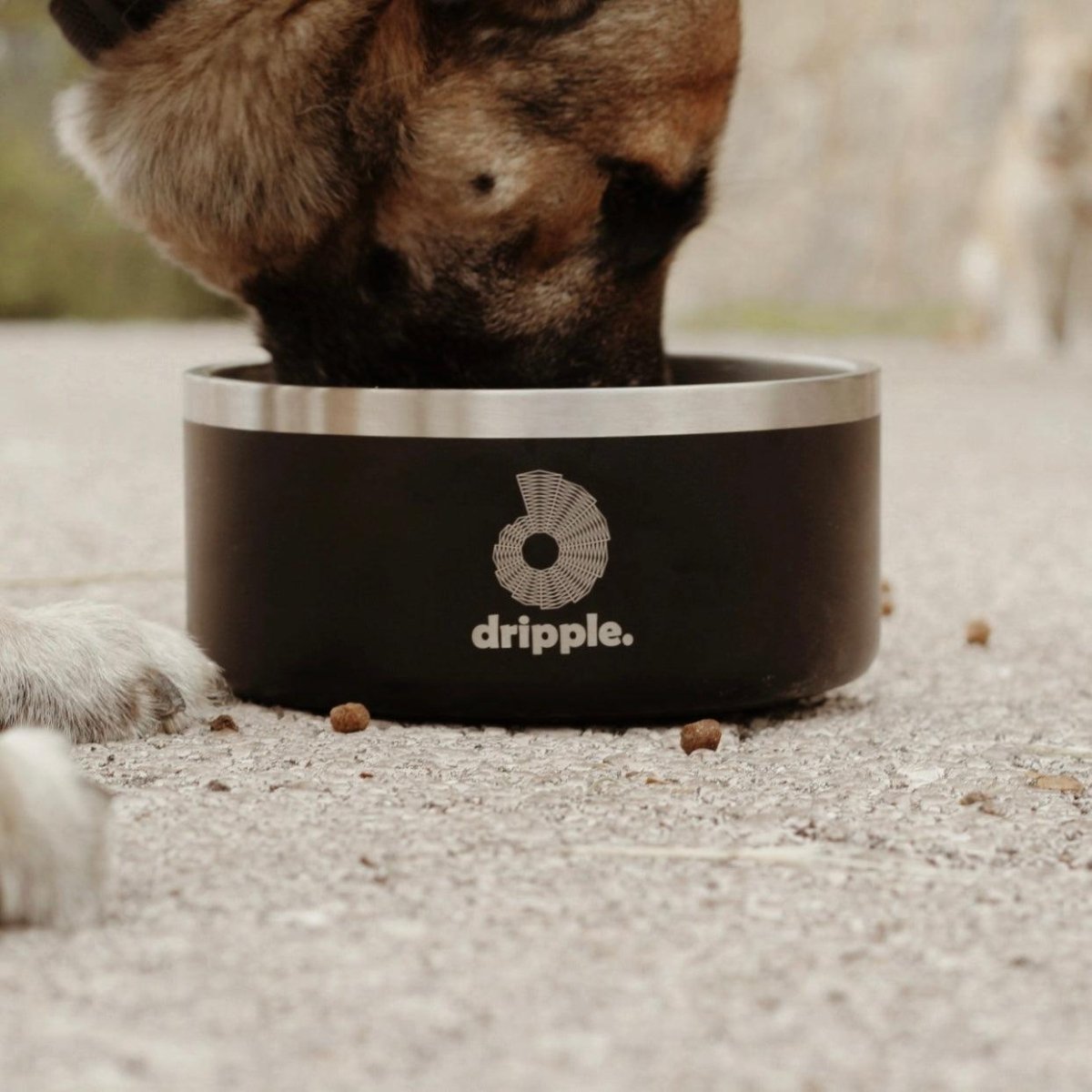 Products – dripple™
